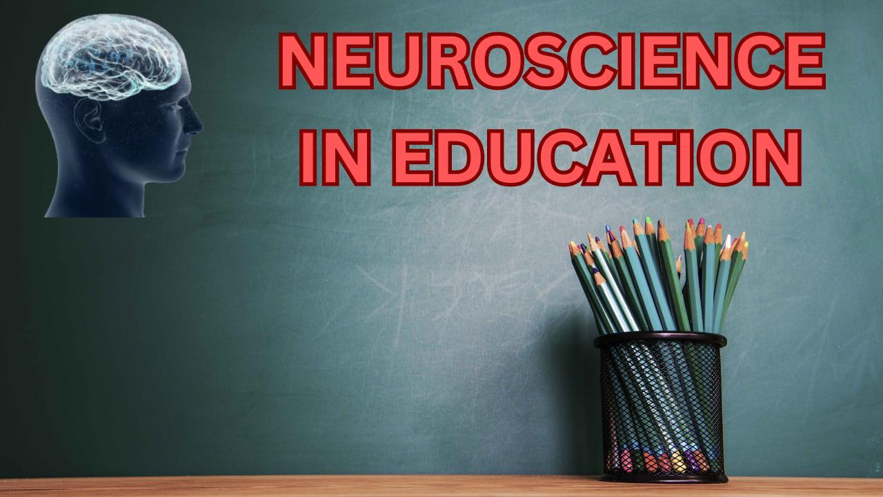 The Power of Neuroscience in Education